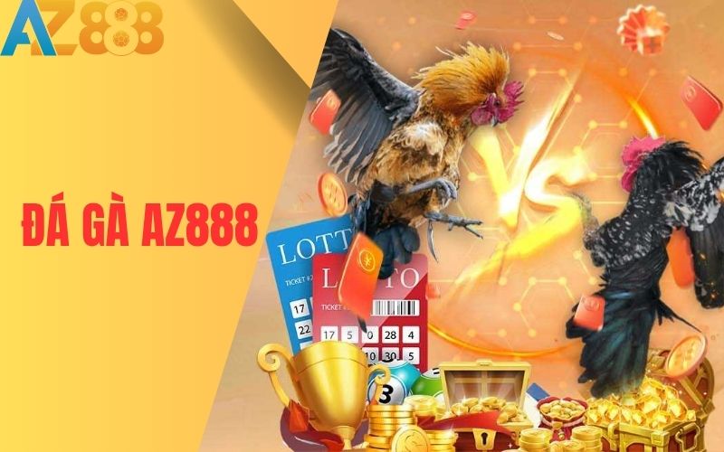 Đá gà trực tuyến có hàng trăm trận đấu mỗi ngày