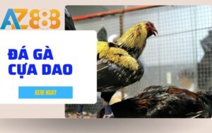 Huong Dan Cach Choi Da Ga Cua Dao Tai AZ888 Chi Tiet Cho Nguoi Moi 1