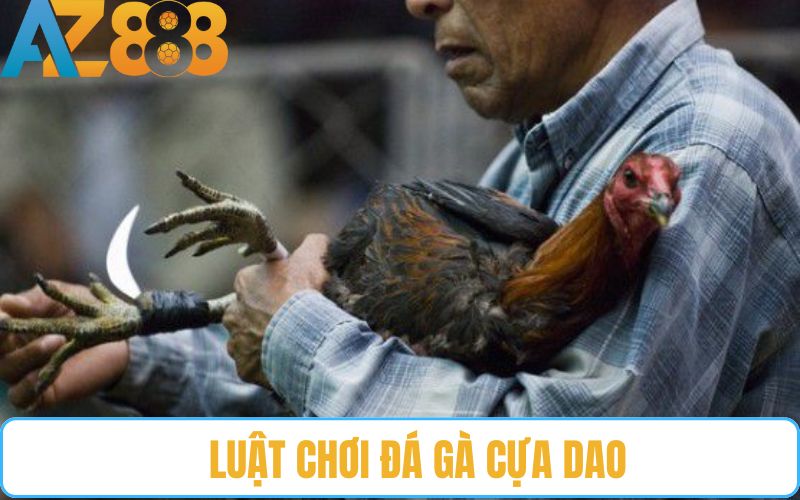 Hướng dẫn luật chơi đá gà cựa dao cơ bản