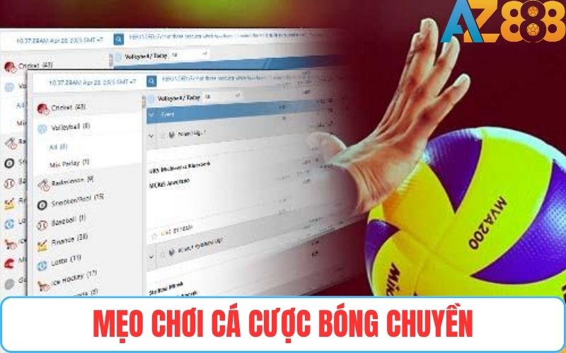 Kinh nghiệm chơi cá cược bóng chuyền dễ thắng