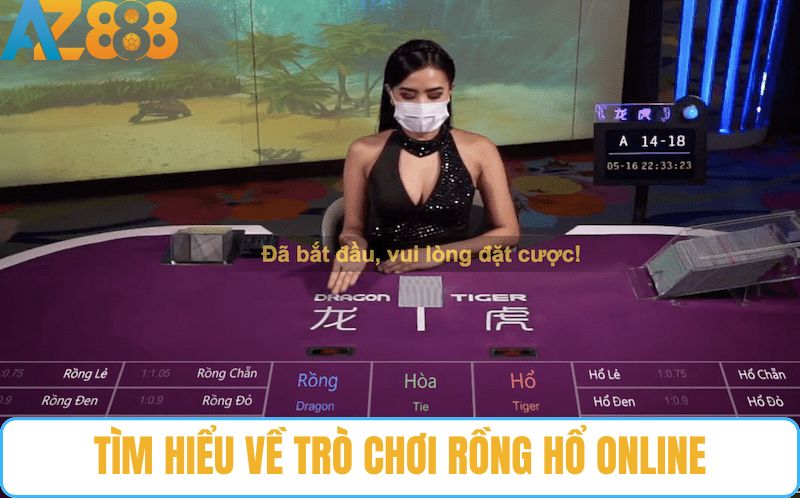 Tổng quan về trò chơi rồng hổ online