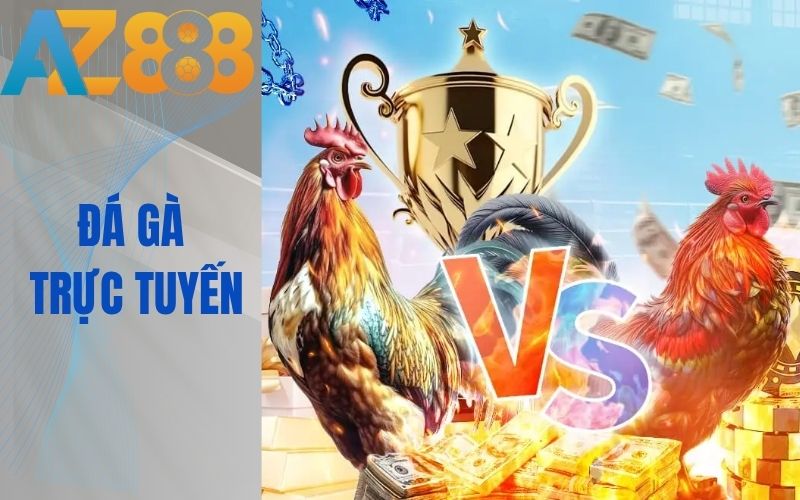 Xem và đặt cược đá gà trực tuyến kịch tính tại AZ888 Xem và đặt cược đá gà trực tuyến kịch tính tại AZ888