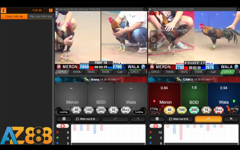 Cách Đặt Cược Đá Gà SV388 Tại Nhà Cái AZ888