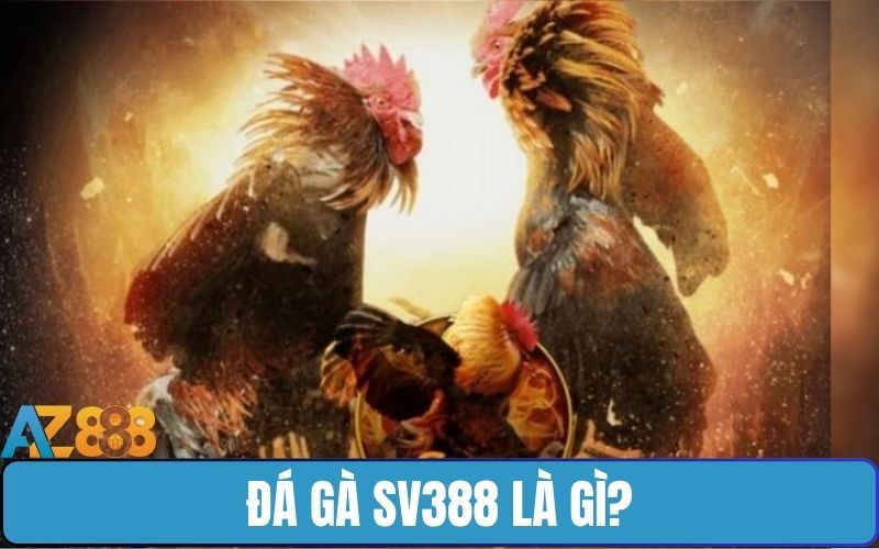 Đá Gà SV388 Là Gì?