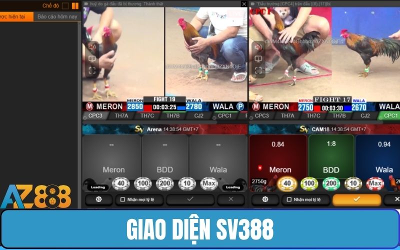 Giao diện đặt cược của sảnh SV388 dễ thao tác