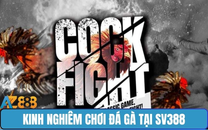 Mẹo đặt cược đá gà trực tuyến tại SV388 hay